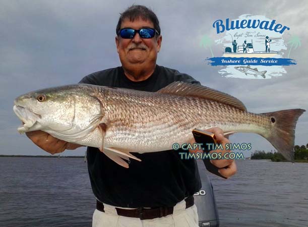 redfish fishing vero beach area fl